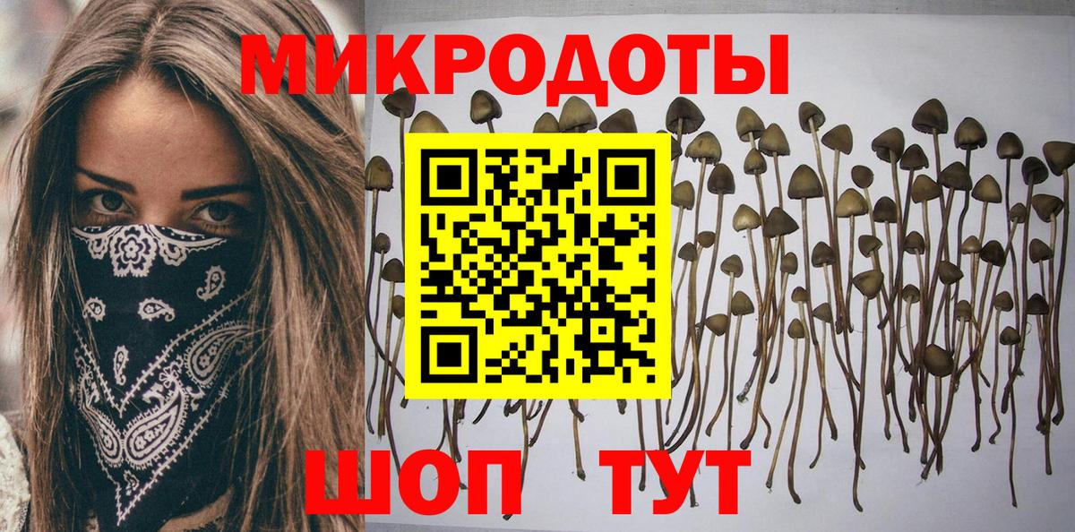 Галлюциногенные грибы GOLDEN TEACHER Родники