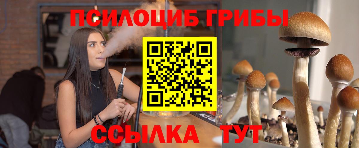 Родники  Псилоцибиновые грибы Psilocybine cubensis  Вход с VPN 